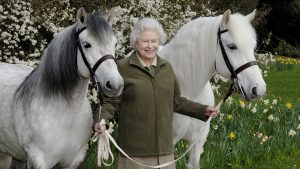 Regina Elisabeta a Ii-A SURSA FOTO THEHORSEANDHOUND.COM