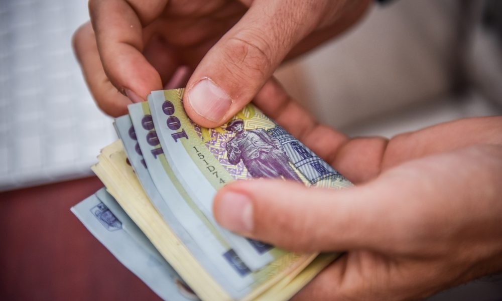 Guvernul oferă lunar 450 de lei! Care sunt românii vizați