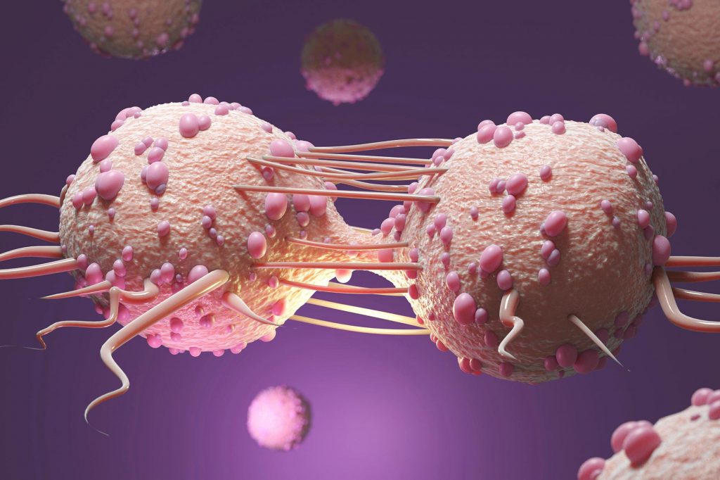 cancer sursa foto scitechdaily