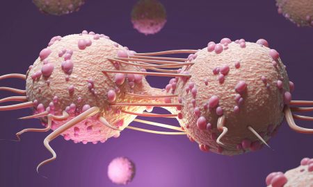 cancer sursa foto scitechdaily