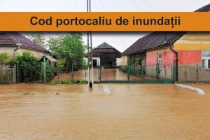 cod portocaliu sursa foto presasm.ro