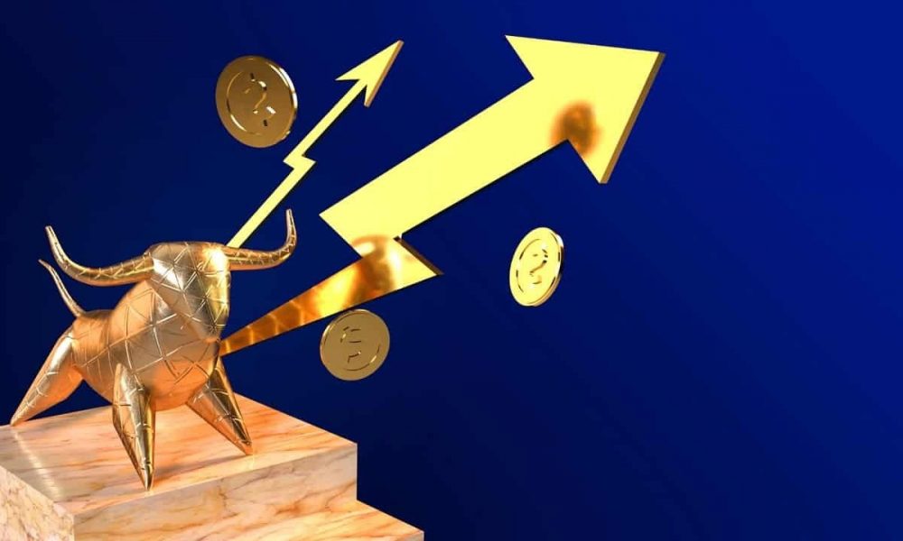 Piața de capital în vreme de bull market. Sfaturile investitorilor