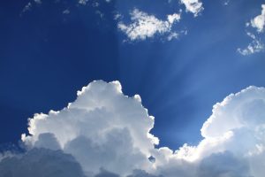 sursa foto unsplash.com