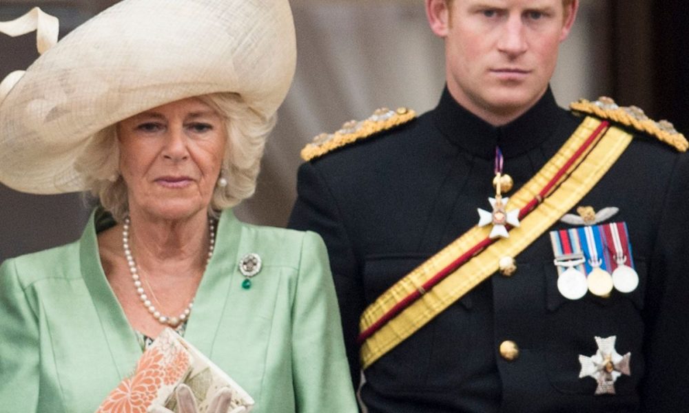 Divergențe regale! Care este relația dintre Prințul Harry și Camilla