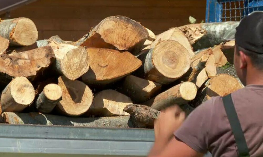 Guvernul acordă vouchere de lemne pentru sezonul rece! Cum poți obține acești bani