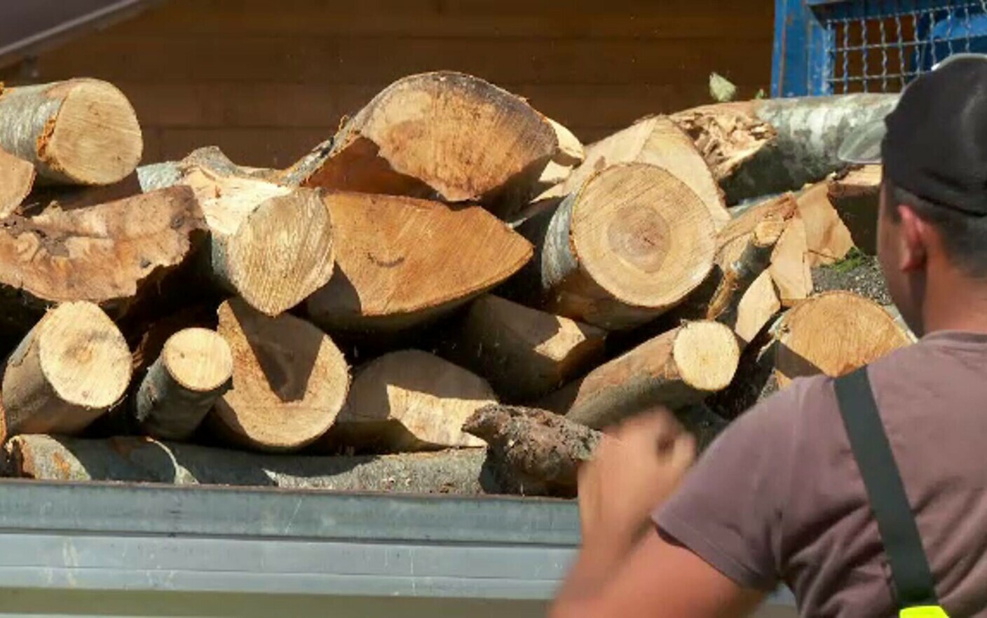 Lemne, Sursă foto: Pro TV - Pret Lemn Foc