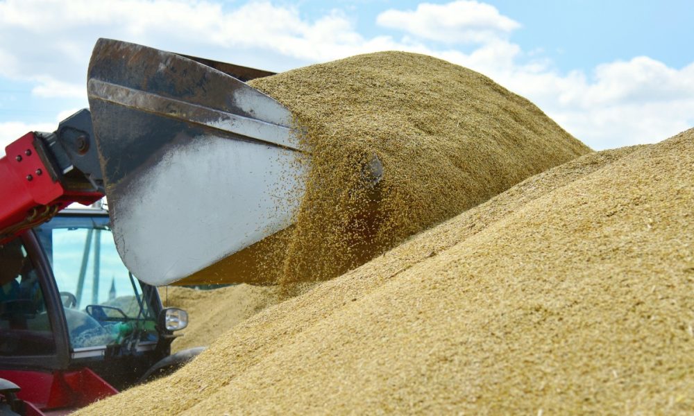 Încasări de peste 2,5 miliarde de euro în agricultură. România, pe primele locuri la producția de cereale