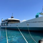 Feribot, port Rafina Sursa foto Arhiva personala