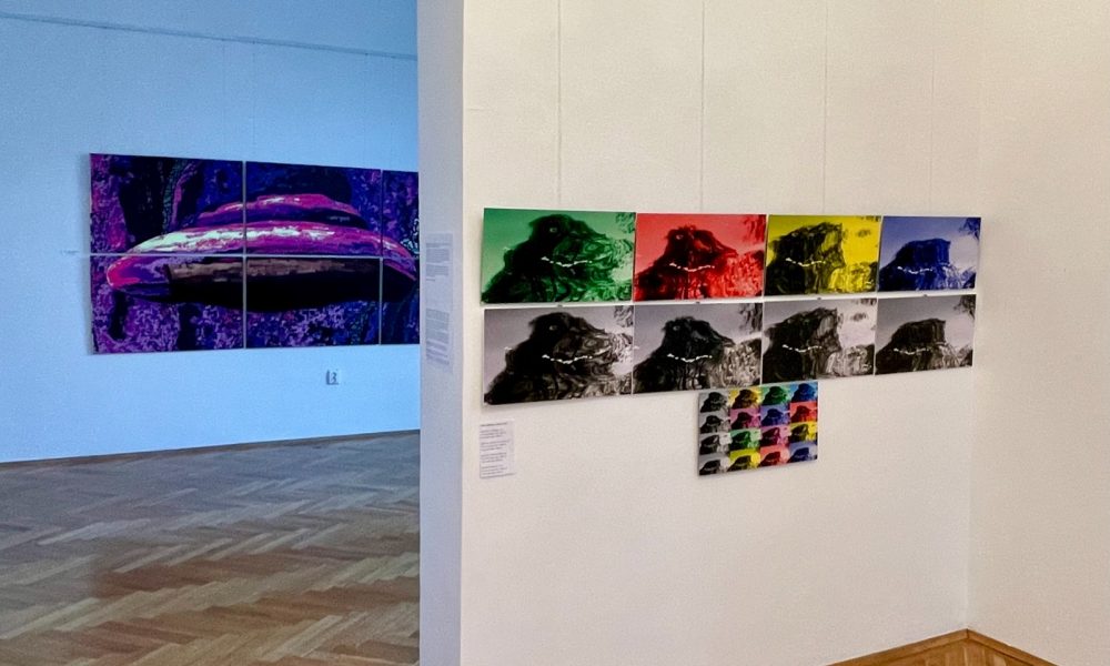 Expoziția „Spiritele parcului” continuă!  Sunteți invitați să urmăriți o „Călătorie fantastică în lumea Monstrului surâzând”