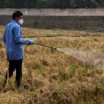 Industria chimică Sursa foto Opinia Publica