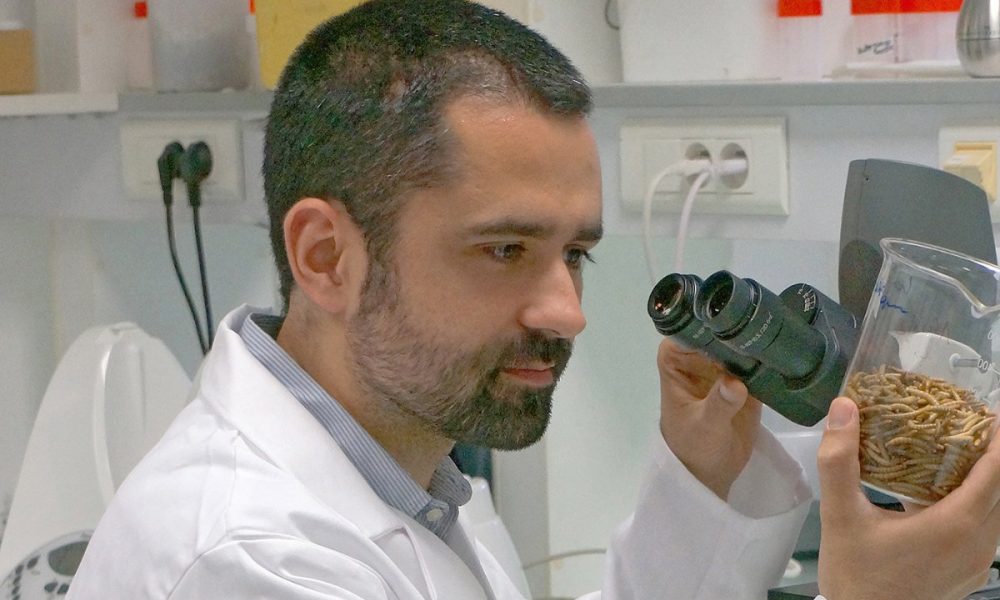 El este omul care ne aduce insectele pe masă! Antoine Hubert construiește o „fermă” care va produce 200.000 de tone de „gustări”