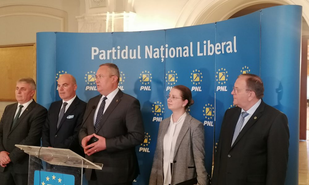 Ligia Deca este noul ministru al Educației! Consiliera lui Iohannis a primit girul PNL-ului