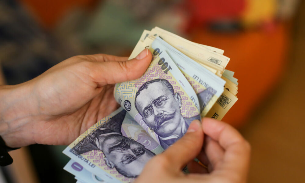 Vin banii de la stat! Care sunt beneficiarii acestui sprijin financiar