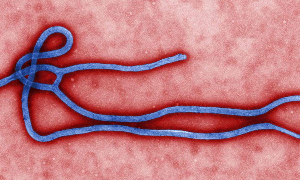 Pandemie peste pandemie! De data asta ni se pregătește o Ebola!