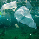 plastic sursa: NRDC