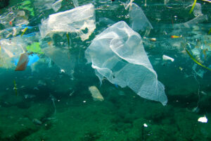 plastic sursa: NRDC