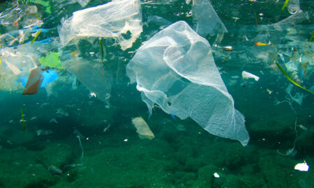 plastic sursa: NRDC