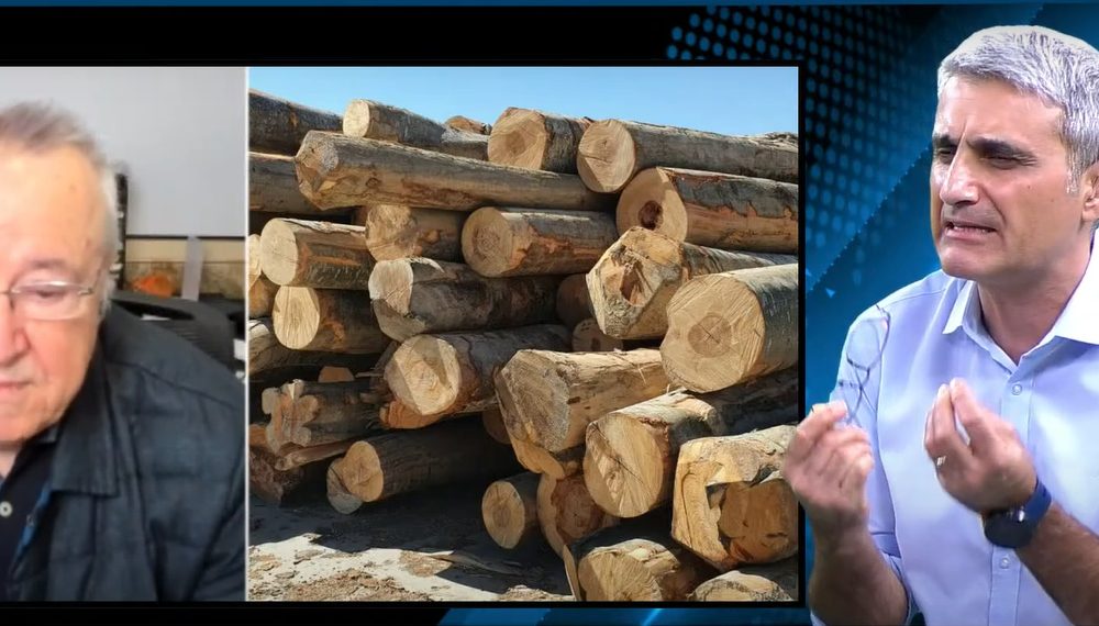 EXCLUSIV! Aberația plafonării prețului la lemne – Cristoiu: „Au dat OUG și vine azi Ciucă să spună că s-a calculat greșit”