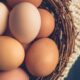 Marea Britanie, în pragul unei crize alimentare! Supermaketurile au început să raționalizeze achiziția de ouă