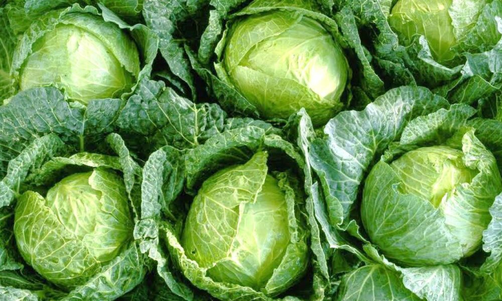Varza, la prețuri exorbitante în piețe. Cât au ajuns să coste alimentele de la tarabe