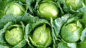 Varza, la prețuri exorbitante în piețe. Cât au ajuns să coste alimentele de la tarabe