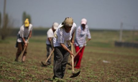 Menajerele, bucătăresele, oamenii buni la toate. Aceștia pot fi plătiți cu tichete în valoare de 15 lei