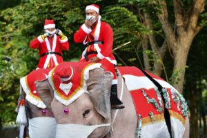 Tineri îmbrăcați în Moș Crăciun pe elefanți în Thailanda, sursă foto News18