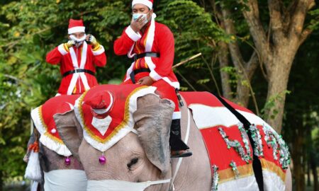 Tineri îmbrăcați în Moș Crăciun pe elefanți în Thailanda, sursă foto News18