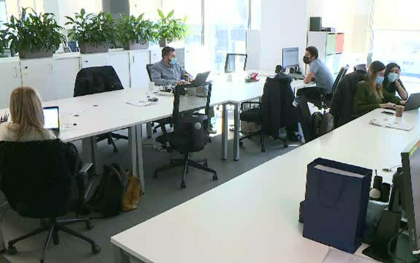 Angajați, Sursă foto: Pro TV