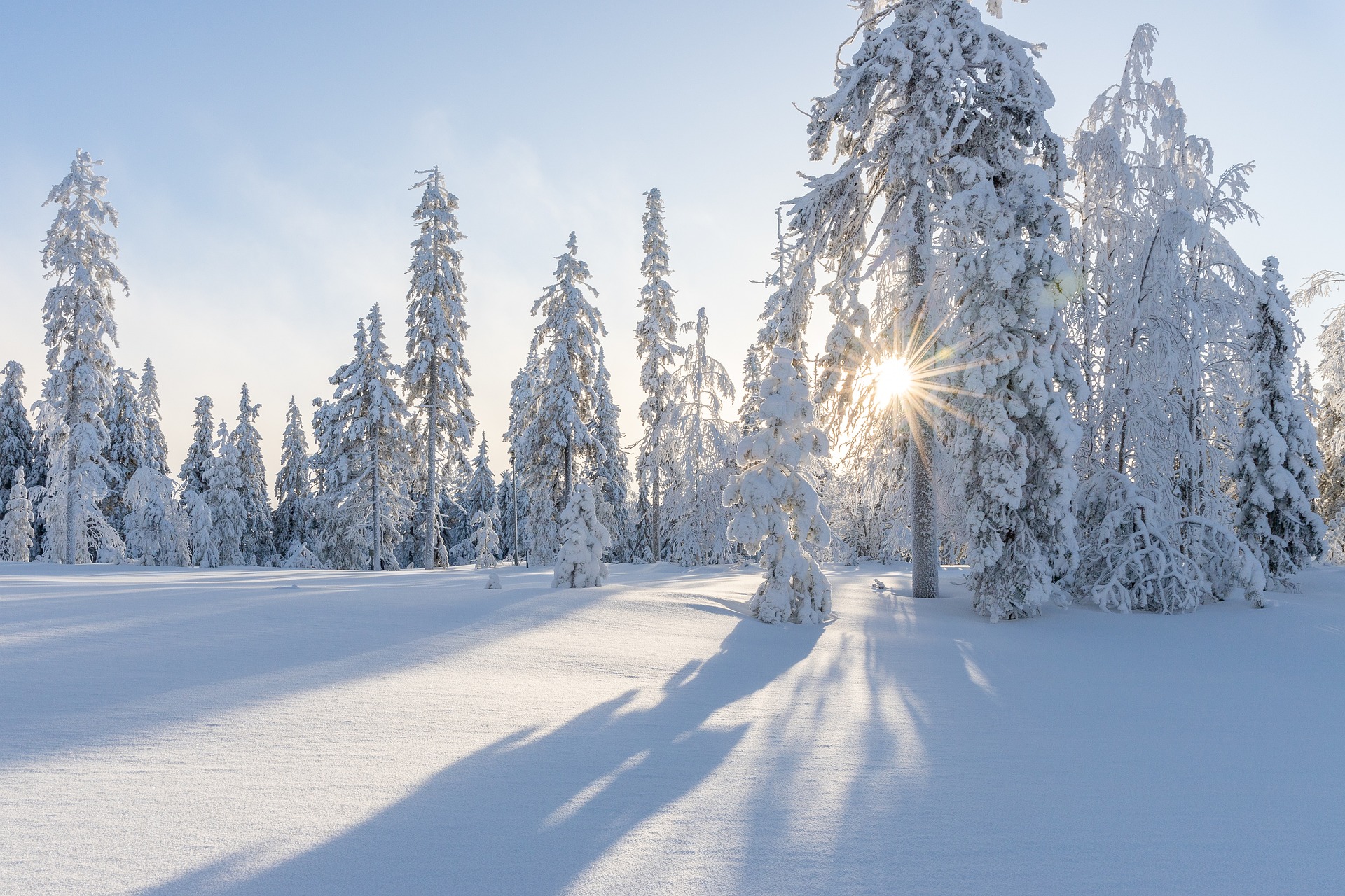 Zăpadă, Sursă foto: Pixabay