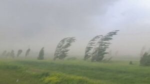 Vânt puternic, Sursă foto: Agrointeligența