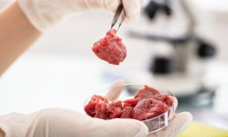 Vom ajunge să consumăm carne creată în laborator? Explicațiile ministrului Agriculturii, Petre Daea