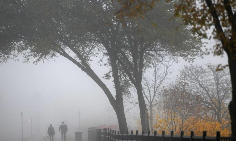 Vreme caldă la final de an! Prognoza meteo pentru 22 decembrie