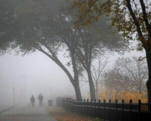 Vreme caldă la final de an! Prognoza meteo pentru 22 decembrie