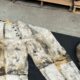 Cea mai veche pereche de blugi din lume s-a vândut cu peste 100.000 de dolari! Care este istoria din spate