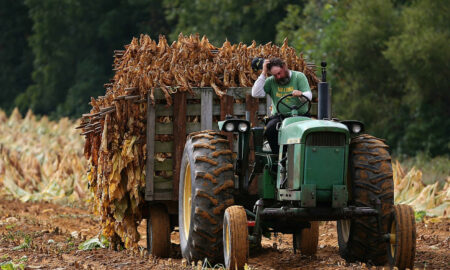 Fermier, Sursa foto Stirile ProTV