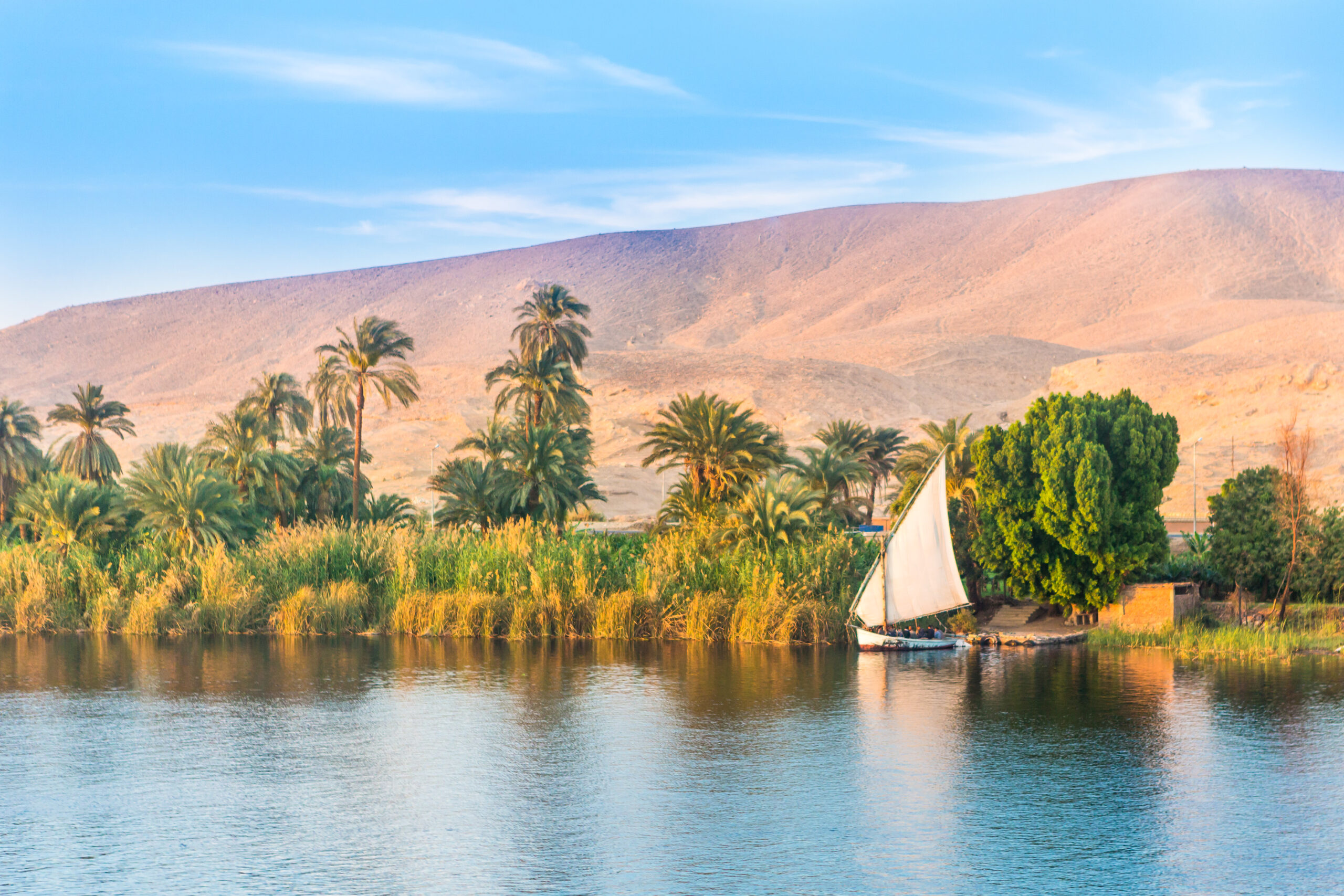 Resursele biologice ale Egiptului, centrate în jurul Nilului, au reprezentat mult timp unul dintre principalele sale atuuri. Sursa foto: Dreamstime