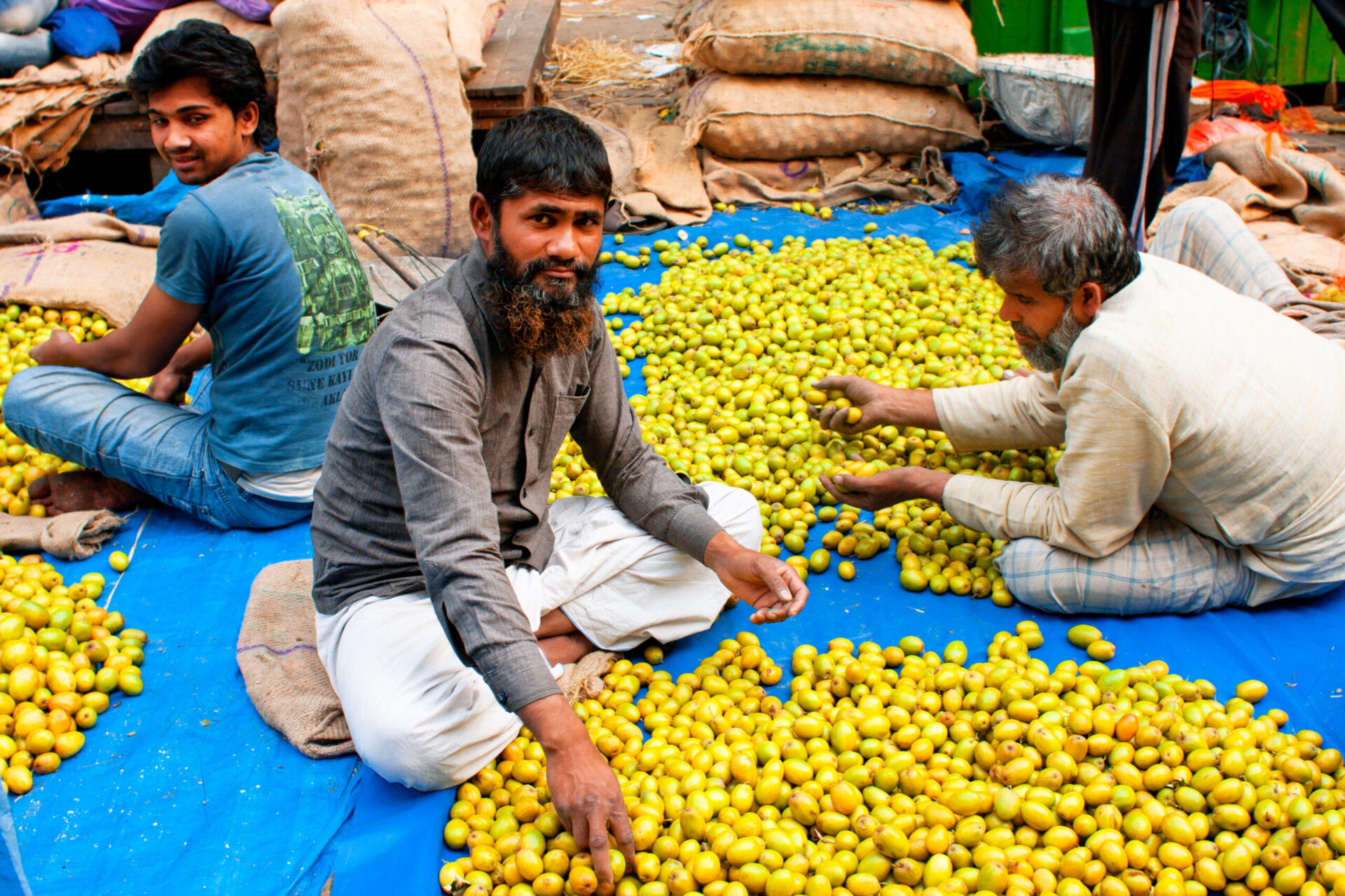 Agricultura contribuie cu 10% la PIB-ul Irakului. Sursa foto:dreamstime