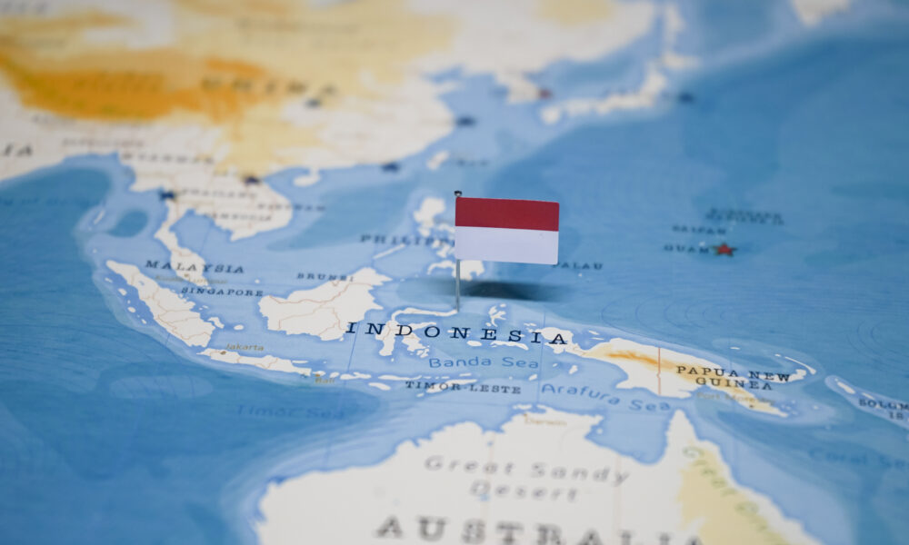 Indonezia are nevoie de un buget suplimentar de 6 miliarde de dolari. Ce va face cu banii