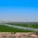 Câmp de tomate irigat cu un sistem de aspersiune pivotant în Qatar Sursa foto dreamstime.com