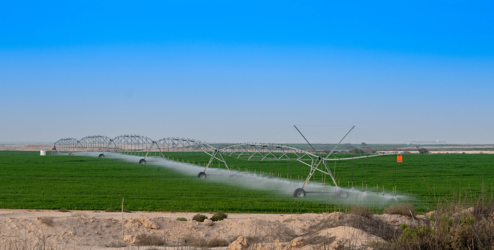 Câmp de tomate irigat cu un sistem de aspersiune pivotant în Qatar Sursa foto dreamstime.com