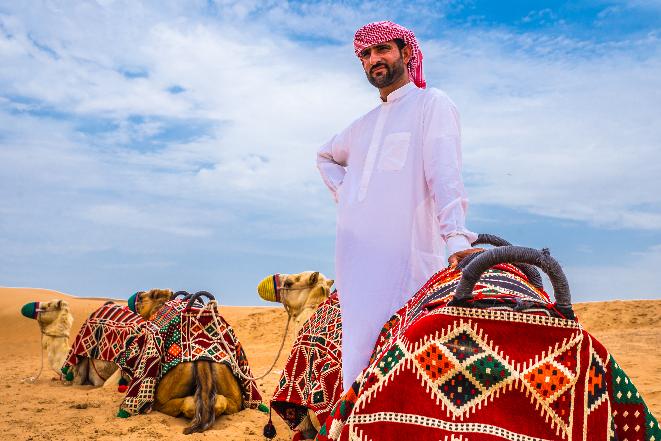 Un beduin cu cămilele sale, sursă foto dreamstime