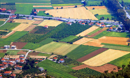 Vedere aeriană asupra câmpurilor agricole din Turcia (sursă foto: dreamstime)