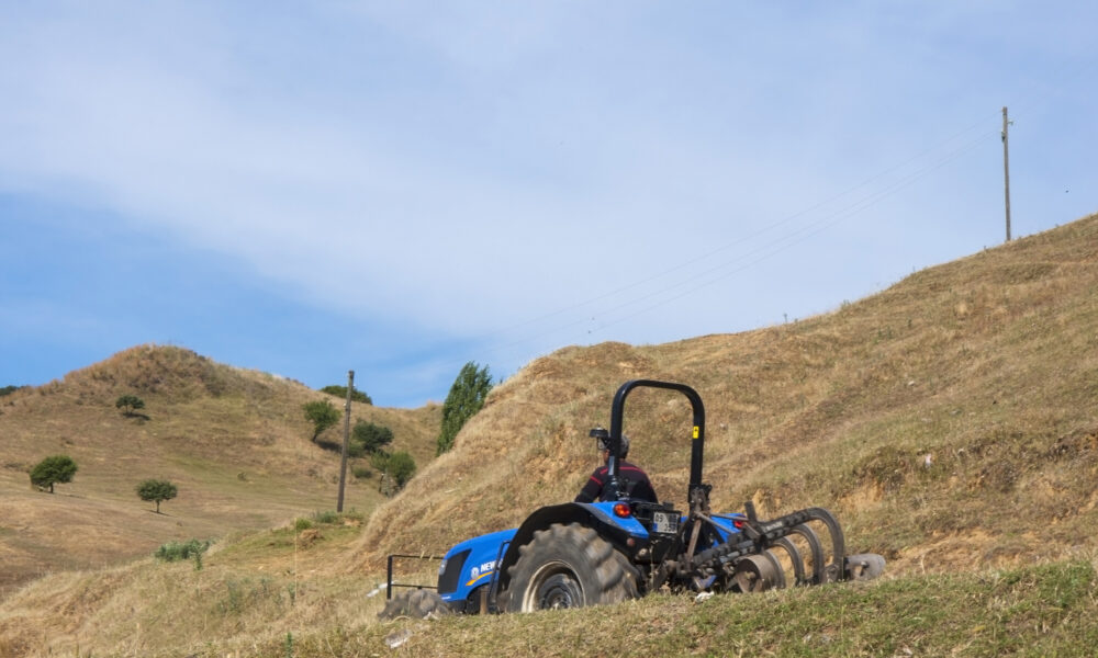 Ce importanță are agricultura în economia Turciei? Țara din Orientul Mijlociu se află în topul exporturilor de legume și fructe