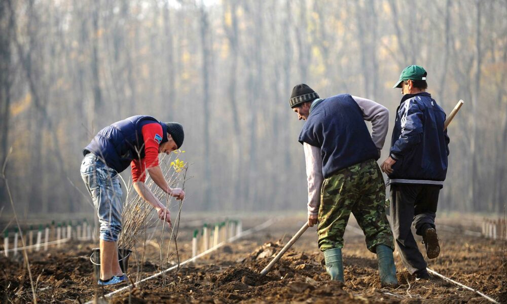 Se poate și la noi! Tinerii care vor să investească în agricultură primesc de la stat fonduri de zeci de mii de euro