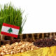 Agricultura Libanului, sursa foto Dreamstime