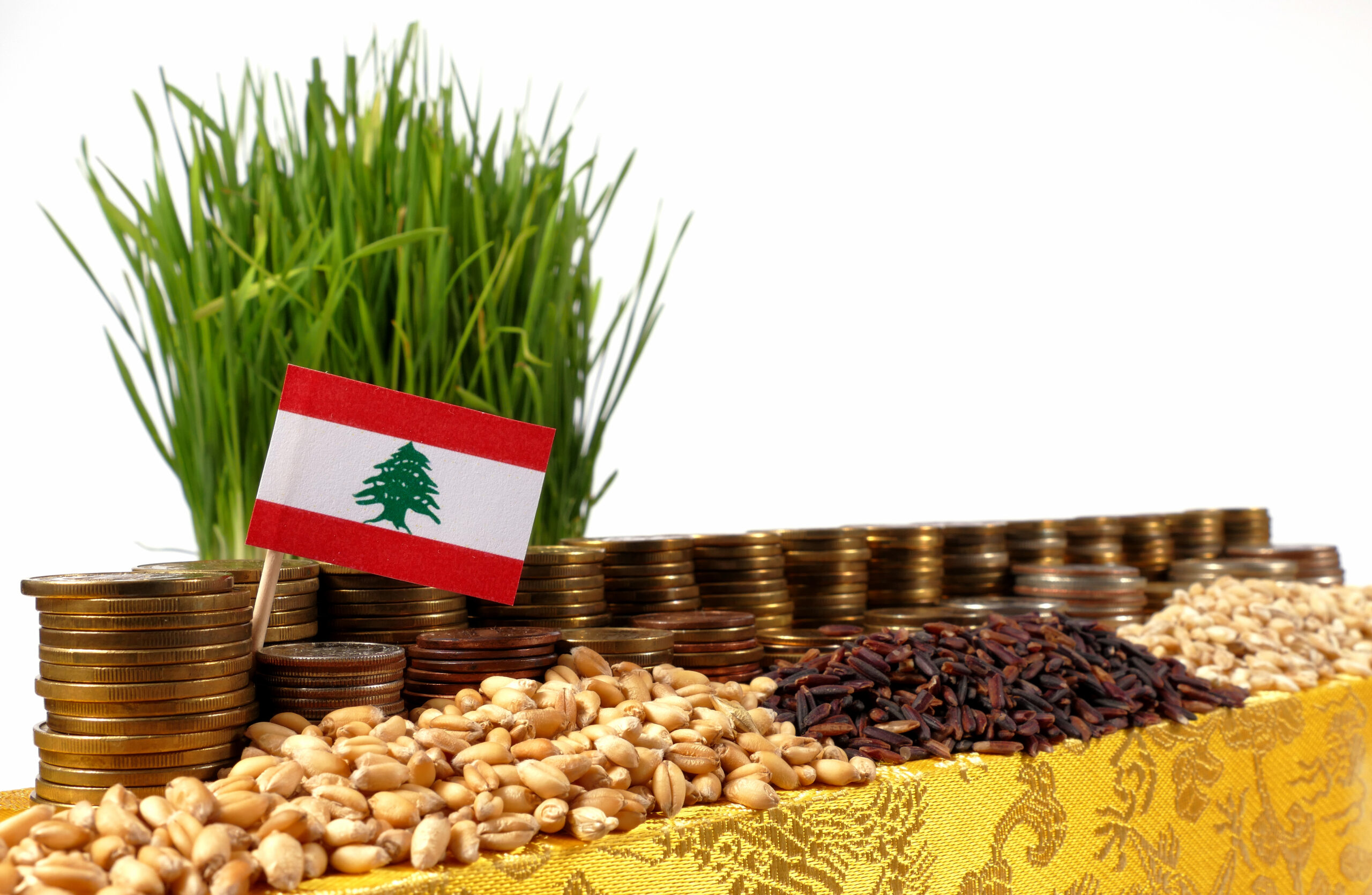 Agricultura Libanului, sursa foto Dreamstime