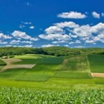 agri ceha