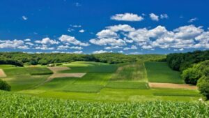 agri ceha