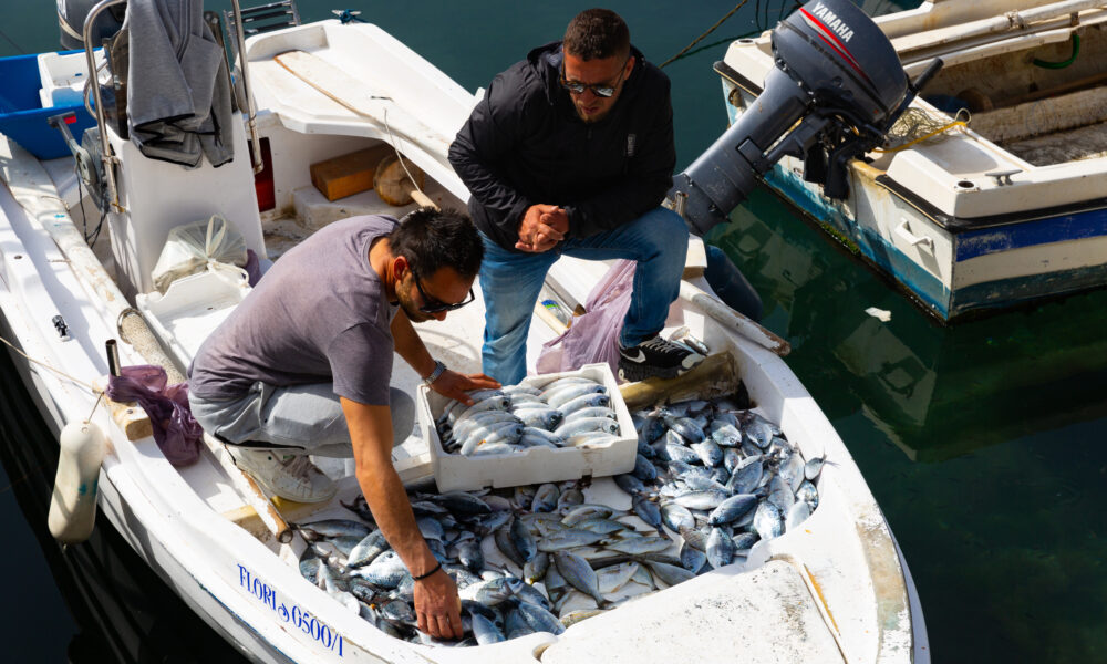 Pescari fără finanțări. Un singur piscicultor a accesat fonduri europene